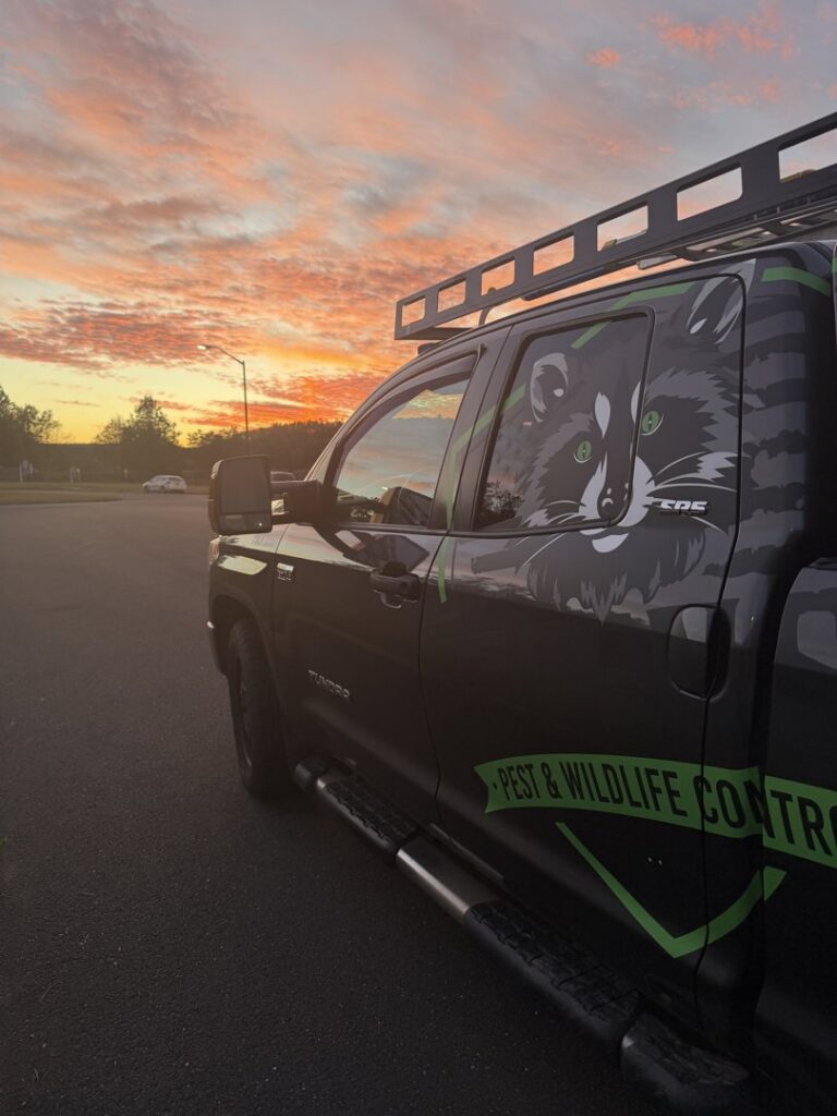 A branded Defense Pest and Wildlife Control truck with a raccoon graphic and company name, parked at sunset in Hartford, CT.