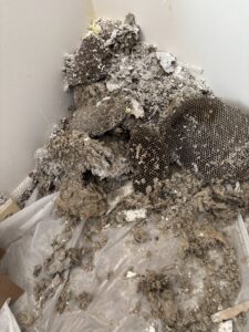 A pile of destroyed wasp nests and honeycomb on a tarp after removal by Optimum Pest Pros, LLC. in Canandaigua, NY.