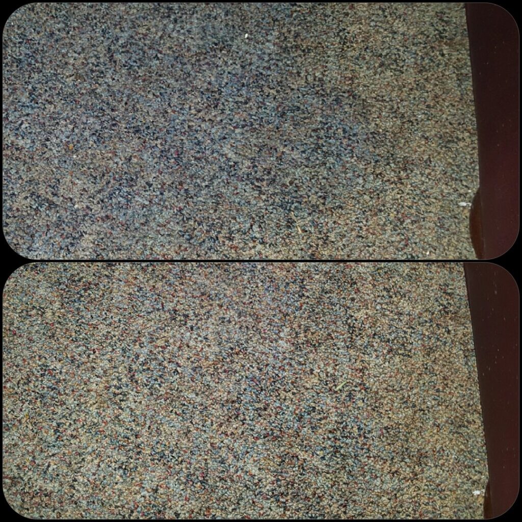 Close-up before and after view of a carpet, showcasing the cleaning expertise of Troy West Carpet Cleaning in Morristown, VT.