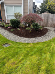 A detailed view of a professionally landscaped garden bed with mulch and gravel by Martin's Landscaping CO. in Renton, WA.