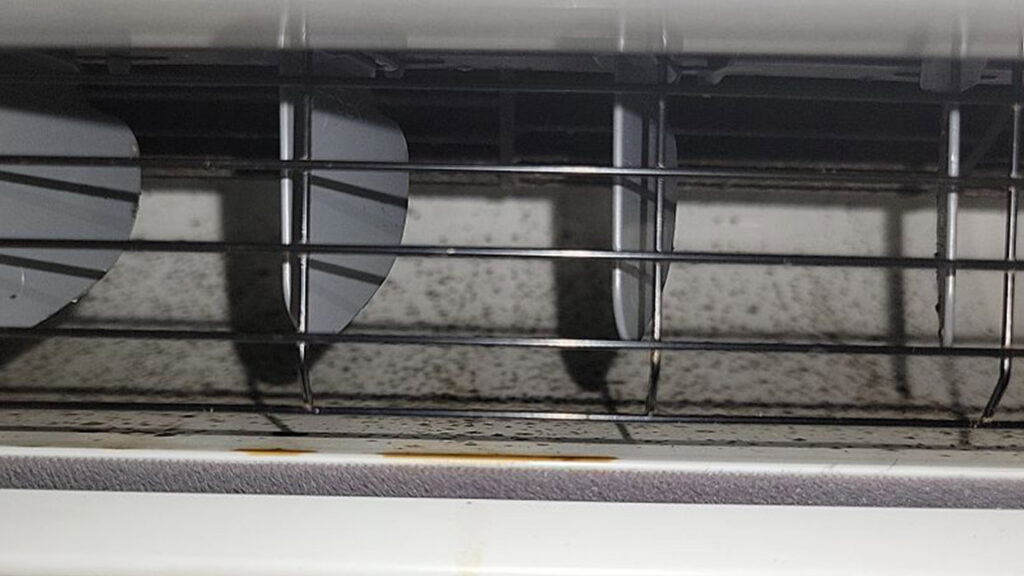 A close-up of a dirty and moldy AC vent or coil needing cleaning from Comfort Hounds Heating & Cooling in Raleigh, NC.