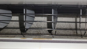 A close-up of a dirty and moldy AC vent or coil needing cleaning from Comfort Hounds Heating & Cooling in Raleigh, NC.