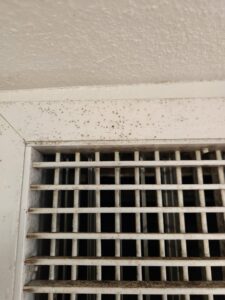 Close-up of a dirty air vent grille with visible mold or heavy dust, indicating a need for cleaning by DUCTZ of Siouxland in Vermillion, SD.
