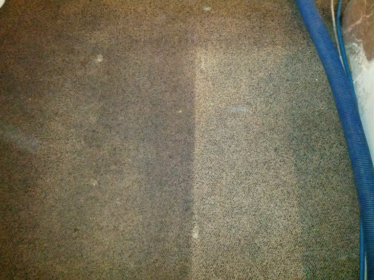 A carpet showing a clear before-and-after cleaning result by Duraclean by Barton in Independence, MO.