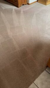 A carpet showing a distinct line between dirty and professionally cleaned sections by Imperial Carpet Cleaning in San Diego, CA.