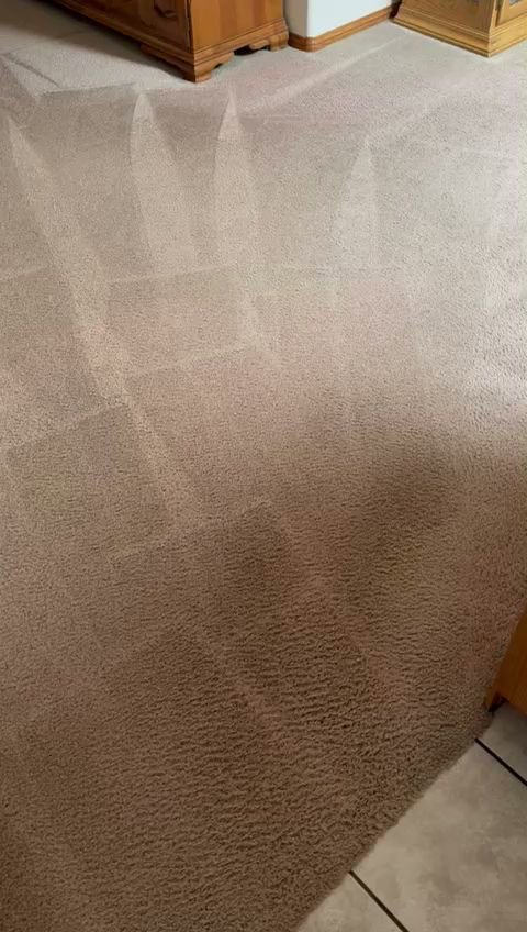 A carpet showing a distinct line between dirty and professionally cleaned sections by Imperial Carpet Cleaning in San Diego, CA.
