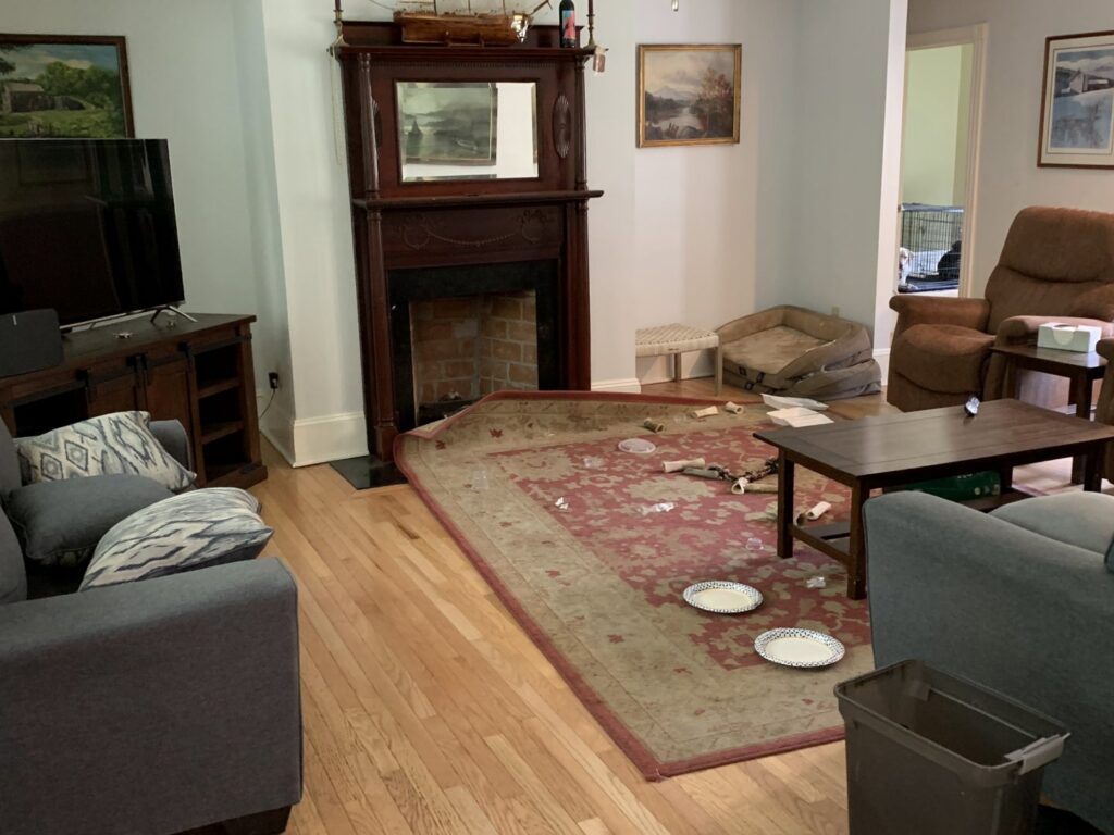 A dirty area rug in a living room before cleaning by Cool Beans Cleaning Company in Sioux Falls, SD