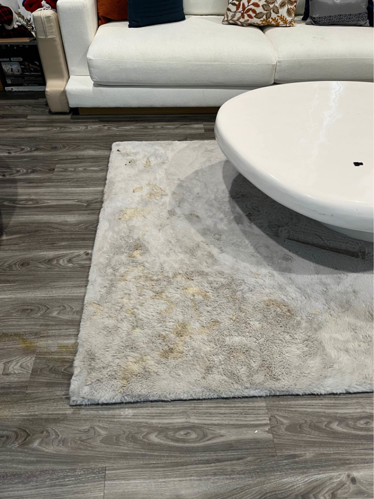 A dirty area rug with visible stains on a hard floor, before cleaning by Orozco's Janitorial Services LLC in Escondido, CA.