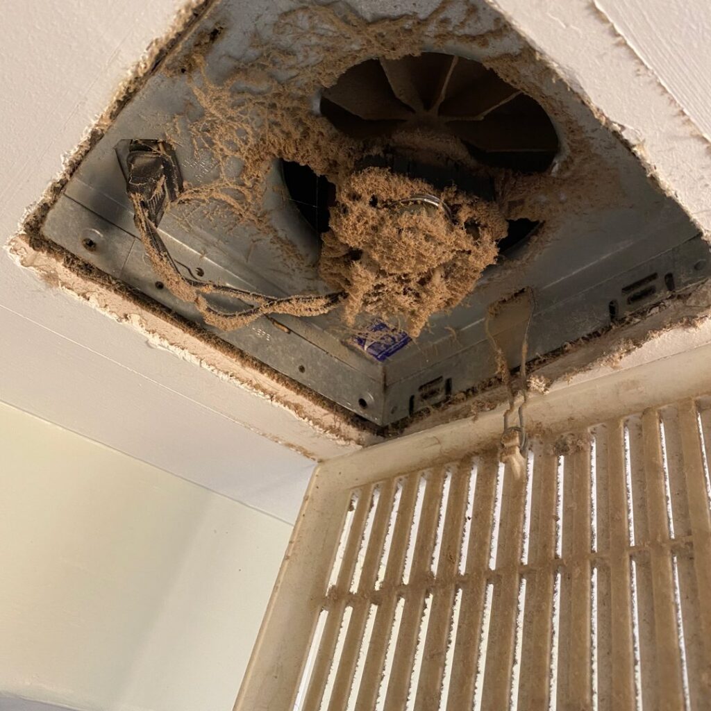 A heavily soiled bathroom exhaust fan covered in dust and grime, needing cleaning by Boston Air Ducts Cleaning in Newton, MA.