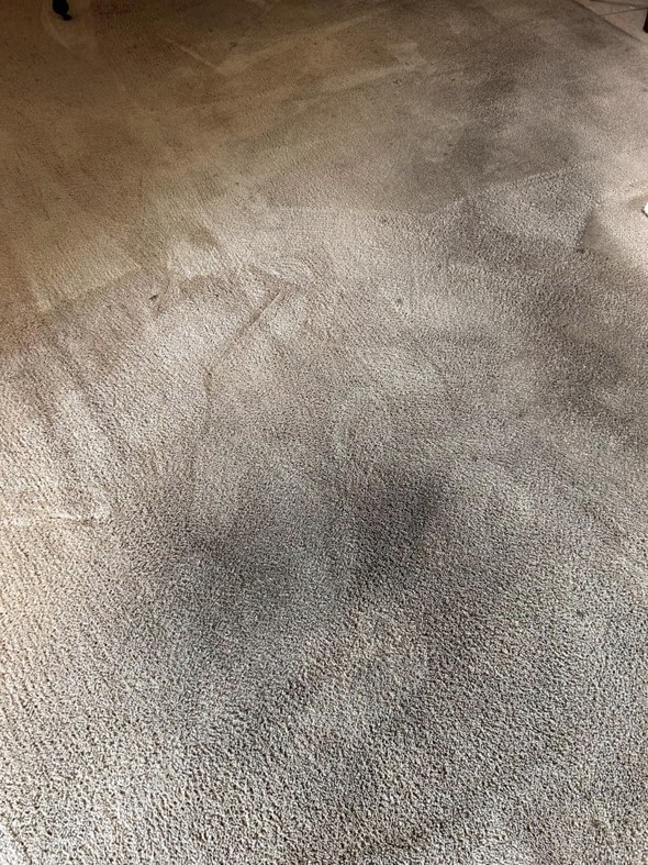 Heavily soiled beige carpet before professional cleaning by Revolution Carpet Cleaners in Chandler, AZ
