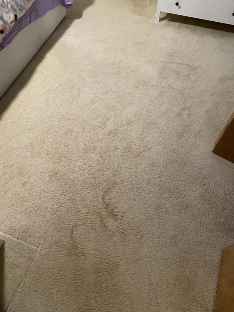A dirty beige carpet with visible stains before professional cleaning by Triple B Carpet Cleaning in Roseville, MI.