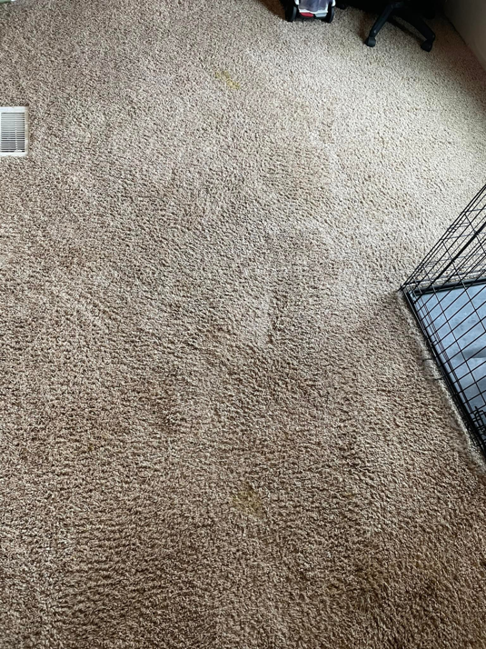 A dirty brown carpet with visible stains before cleaning by Nick's Carpet Cleaning in Snohomish, WA.