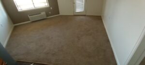 A room with dirty brown carpet before professional cleaning by Pueblo's Best Carpet & Air Duct Cleaning in Pueblo West, CO.