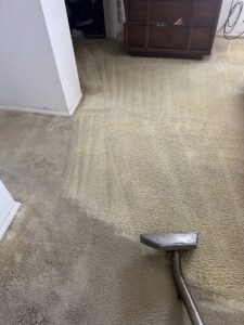 Dirty carpet being cleaned, showing a clear difference by Arise Carpet Cleaning in Kailua, HI.
