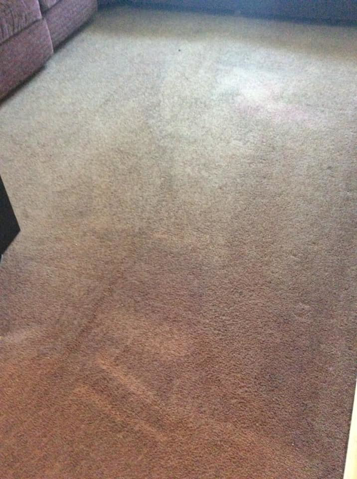 A carpet showing visible dirt and a cleaned section, demonstrating Kustom Carpet Kare's cleaning results in Houston, TX