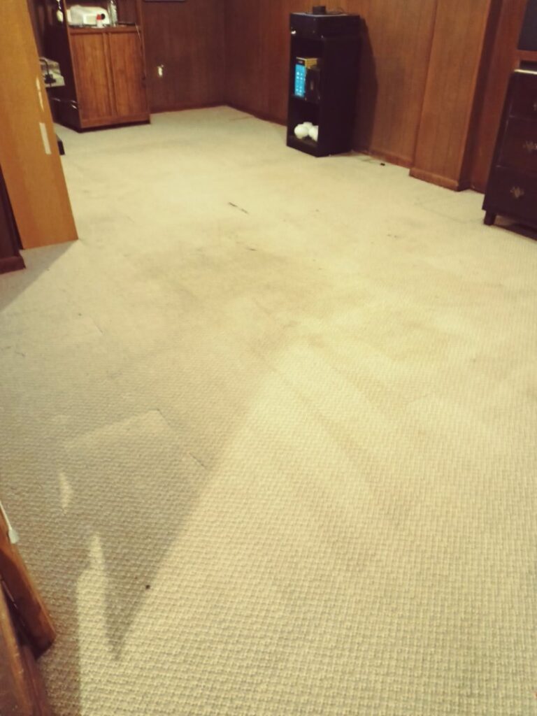 A dirty carpet in a room, showing areas that need cleaning by ABSOclean Carpet Cleaning in Phoenix, AZ.