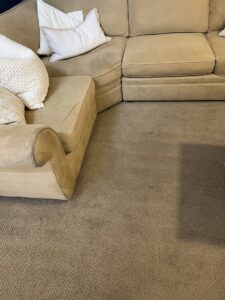 A view of a dirty carpet before professional cleaning by Arizona Steamers Carpet Care in Phoenix, AZ.