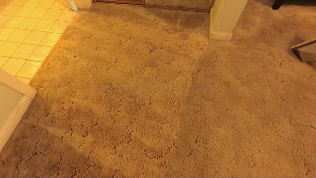 A dirty carpet before professional cleaning by GoldCoast Carpet & Tile Care in Sacramento, CA.