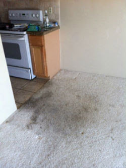 A heavily stained and dirty carpet in a home before cleaning by Heaven's Best Carpet Cleaning Idaho Falls ID.