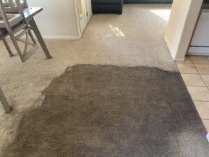 A dirty carpet with a large soiled area, awaiting professional cleaning by Hi-Tech Carpet Cleaning in Elk Grove, CA.