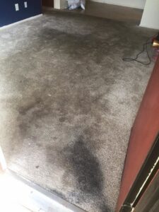 A visibly dirty carpet before professional cleaning by Martin Pro Cleaner in Tulsa, OK