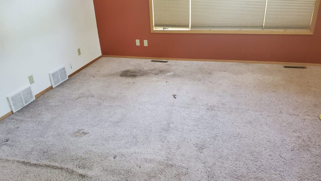 A heavily stained and dirty carpet before professional cleaning, showing the need for Norris Carpet Care in Watertown, SD.