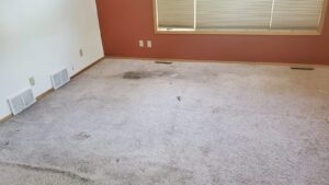 A heavily stained and dirty carpet before professional cleaning, showing the need for Norris Carpet Care in Watertown, SD.