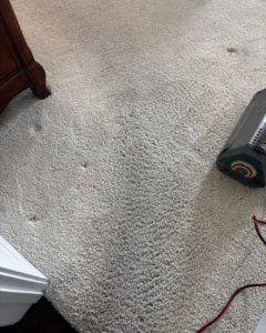 Dirty carpet with visible spots, ready for professional cleaning by Renew Cleaning Services in Scottsdale, AZ.