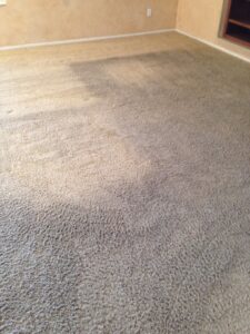Dirty carpet showing the need for professional cleaning by Revolution Carpet Cleaners in Chandler, AZ