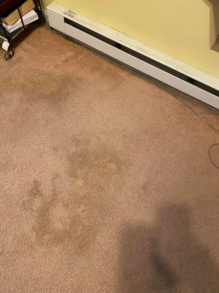 A dirty, stained carpet in a room before professional cleaning by Richmond Kwik Dry in Midlothian, VA.
