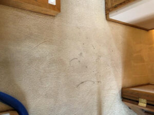 A view of a dirty carpet before a professional cleaning service from Level 8 Steam Cleaning & Restoration in West Fargo, ND.