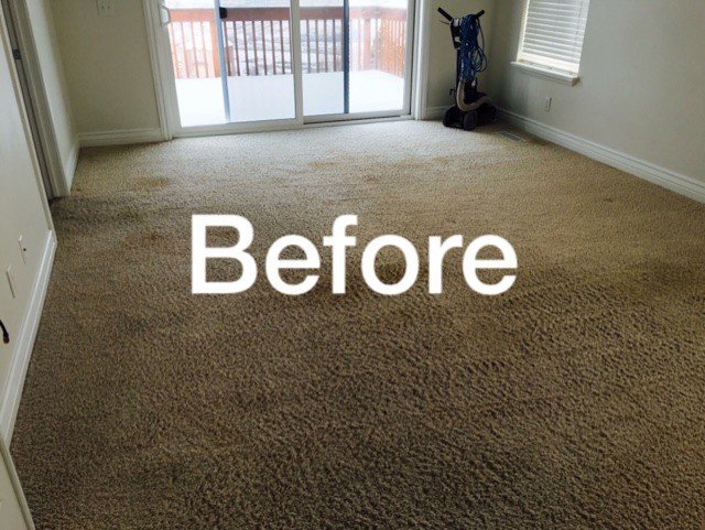 A visibly dirty carpet before professional cleaning service by Ogden Carpet Cleaners in Ogden, UT.