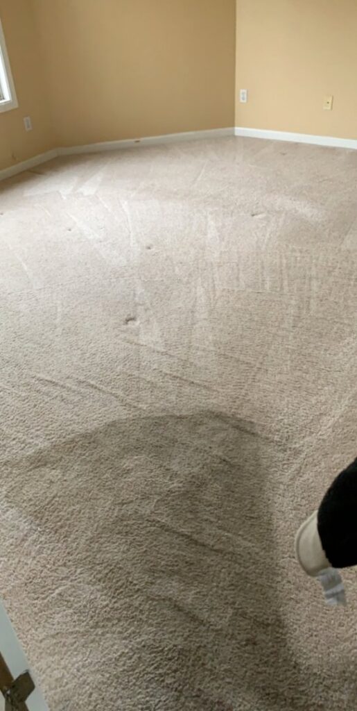 A dirty carpet in a room, before professional cleaning service by Wildcat Carpet Cleaning in Nicholasville, KY.