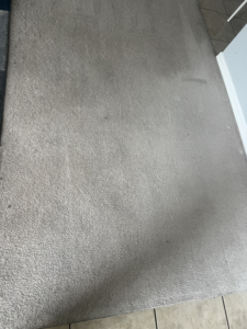 A close-up view of a dirty carpet before professional cleaning by Strategic Carpet Clean in Winter Park, Orlando, FL