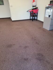 A dirty, spotted brown carpet before professional cleaning by Technique Carpet & Tile Cleaning, Inc. in Winter Springs, FL.