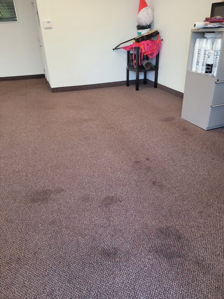 A dirty, spotted brown carpet before professional cleaning by Technique Carpet & Tile Cleaning, Inc. in Winter Springs, FL.