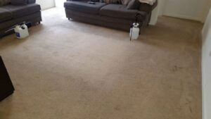 A dirty carpet with a pre-treatment sprayer, ready for cleaning by True Organic Carpet Cleaning in Charlotte, NC.