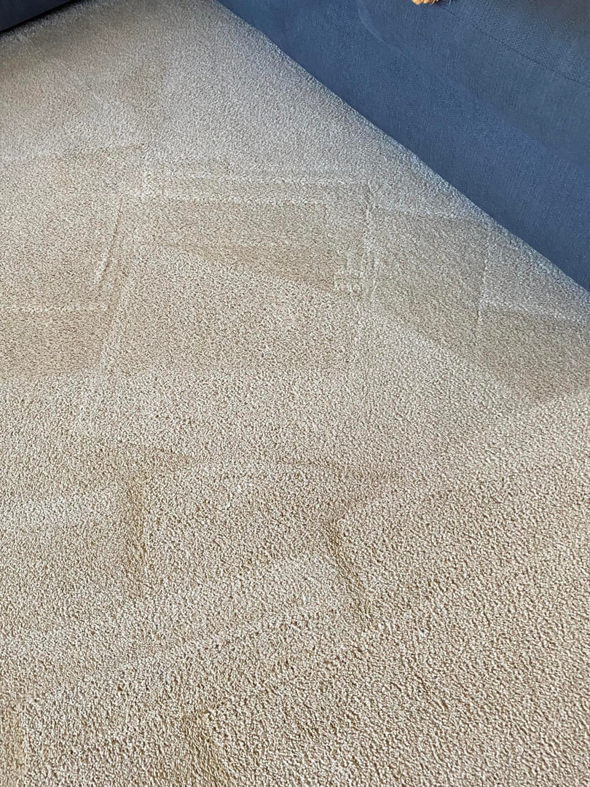 A light-colored carpet showing visible dirt and cleaning lines from a recent service by CityWide Carpet & Upholstery Care in Pittsburgh, PA.