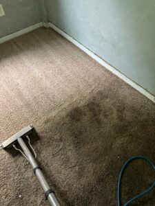 A dirty carpet being cleaned with a professional wand, showing the cleaning process by Carpet PRO Cleaner in Cary, NC.
