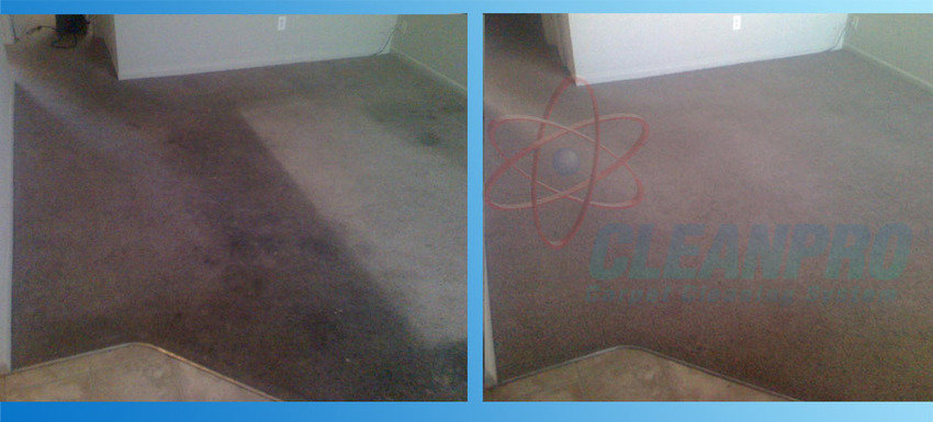 Before and after view of a dirty carpet being professionally cleaned by Denver Cleanpro in Aurora, CO