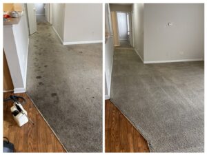 A before and after comparison of a dirty carpet professionally cleaned by Drew's Cleaning and Restoration in Jamestown, NC.