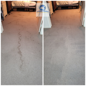 A dirty carpet before and after professional cleaning by Gateway Steamers in Austin, TX