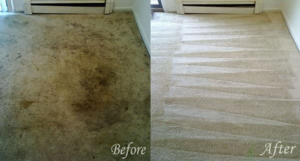 A before and after view of a heavily soiled carpet professionally cleaned by Kiwi Clean Carpet Cleaning in Phoenix, AZ.