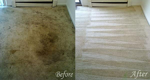 A before and after view of a heavily soiled carpet professionally cleaned by Kiwi Clean Carpet Cleaning in Phoenix, AZ.