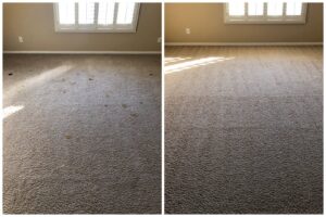 Before and after comparison of a dirty carpet successfully cleaned by Phoenix Tile & Carpet Cleaning in Tempe, AZ.