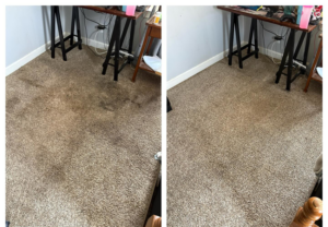 A before and after view of a dirty carpet in an office, expertly cleaned by A-Team Carpet Care in Chesapeake, VA.