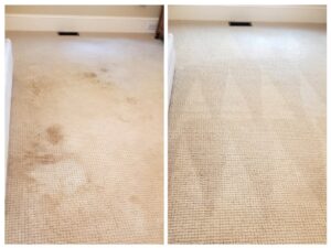 Before and after comparison of a dirty carpet being professionally cleaned by Hughes Dry Professional Carpet Care in Marietta, GA.