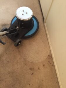 A rotary carpet cleaning machine cleaning a dirty carpet, showing a clean spot by Allen Rapid Dry Carpet Cleaning in Anchorage, AK.