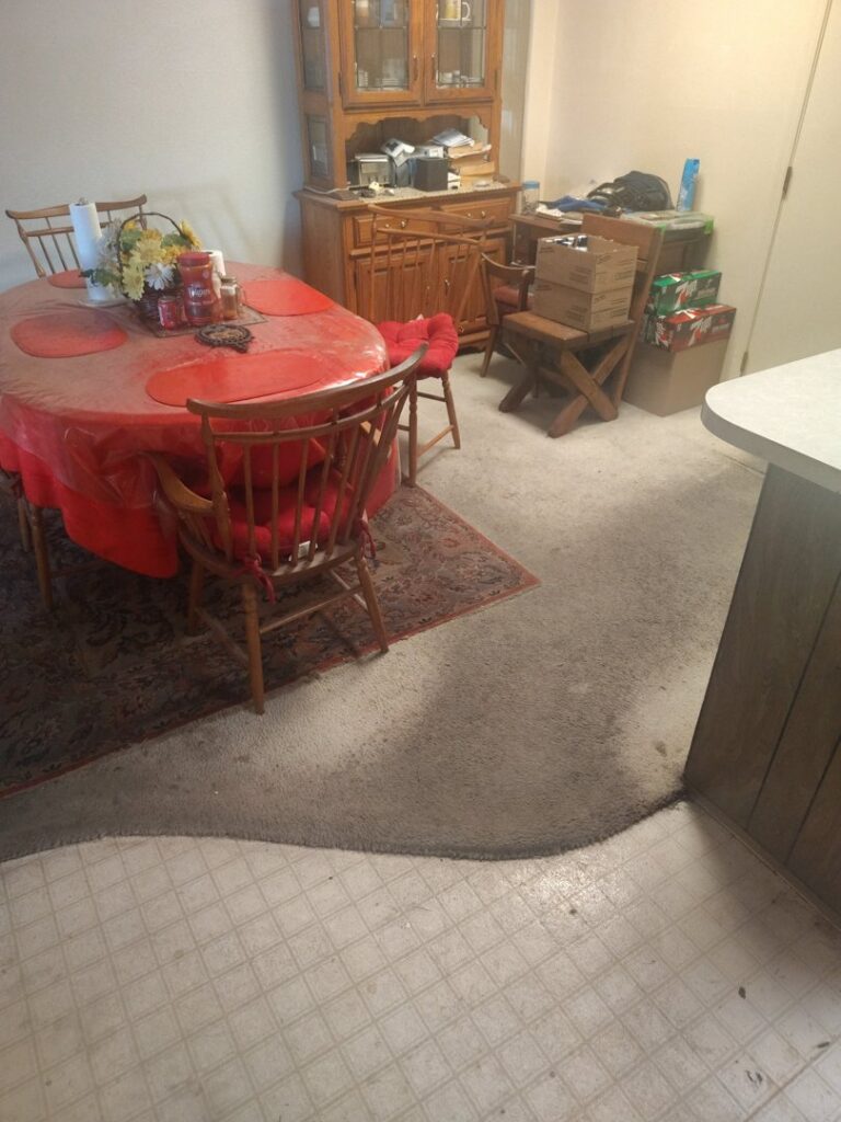A dirty carpet in a dining area before professional cleaning by Integrity Cleaning Systems in Peoria, AZ