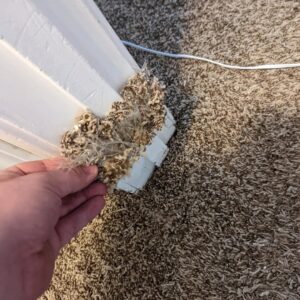 A close-up of a dirty carpet edge near a baseboard, indicating a need for cleaning or repair by Dewdrop Carpet Cleaning in Kansas City, MO.